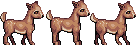 deers